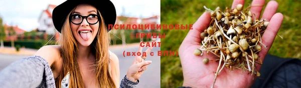 МДМА Дегтярск