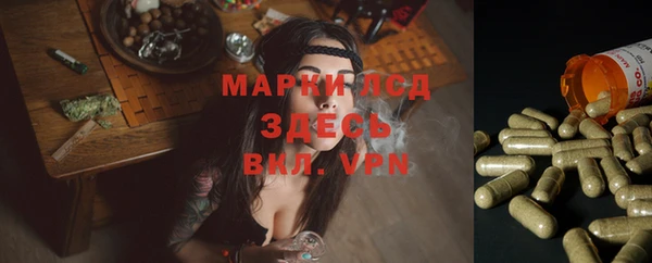 мескалин Арсеньев