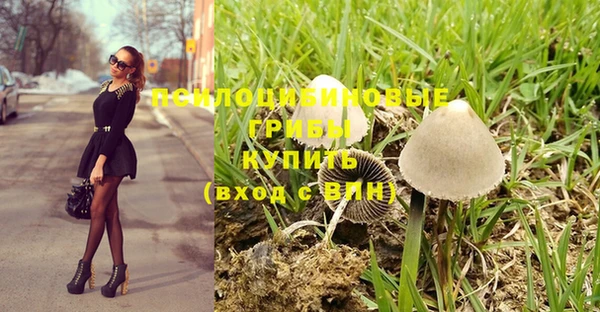 ПСИЛОЦИБИНОВЫЕ ГРИБЫ Баксан
