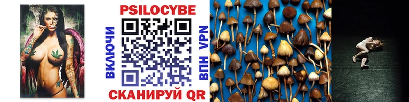 Псилоцибиновые грибы Psilocybe  OMG ссылки  Кубинка 