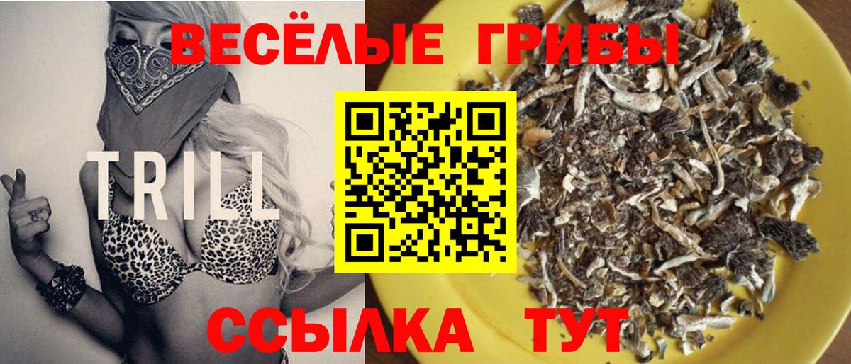 Галлюциногенные грибы мицелий Кубинка