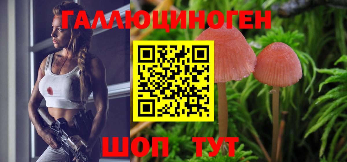 Псилоцибиновые грибы Psilocybe  Вход с VPN  Псилоцибиновые грибы мицелий  Кубинка 